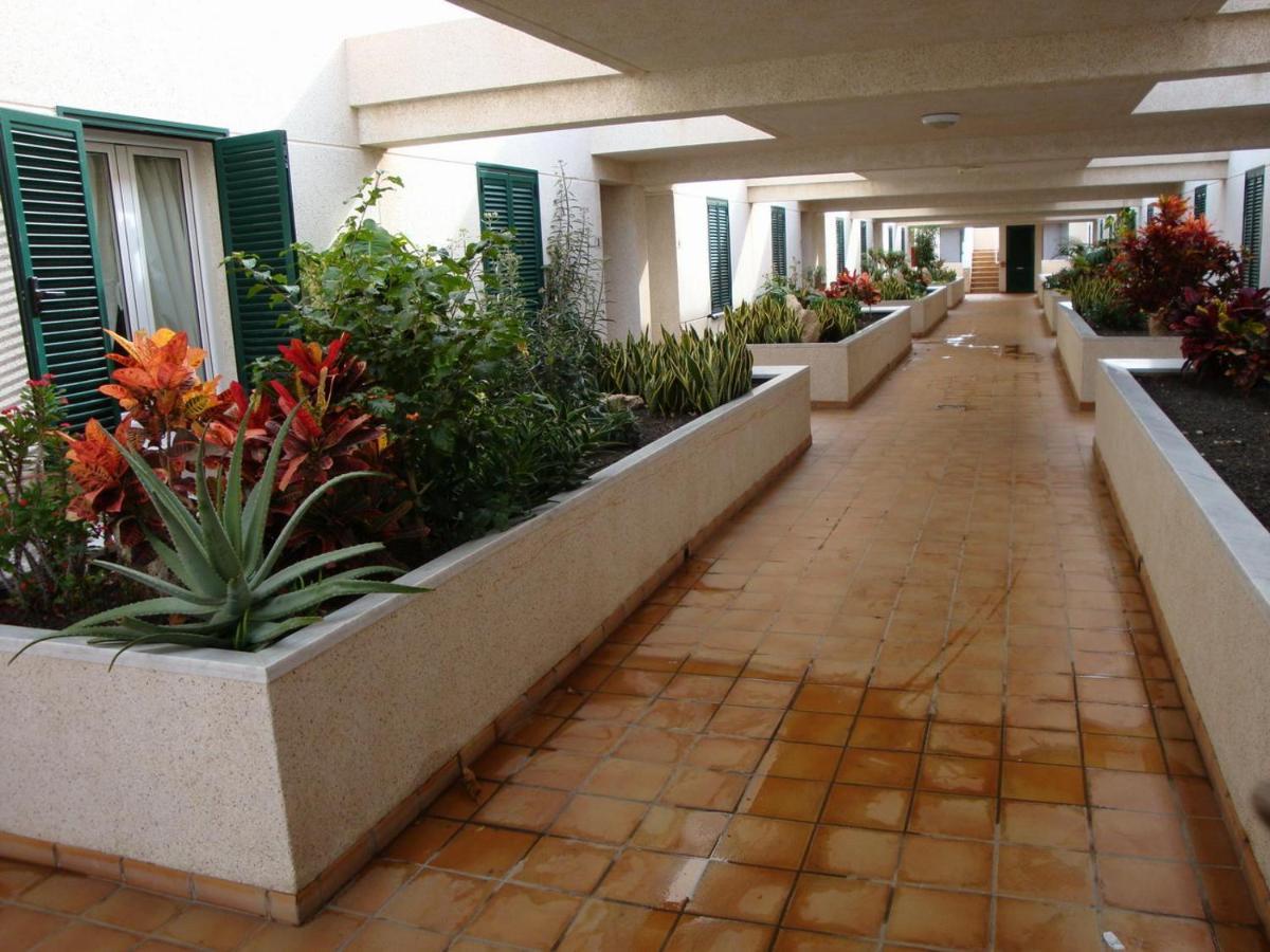 Apartamento Con Jardin Y Piscina En El Balancon Apartment El Médano Exterior foto